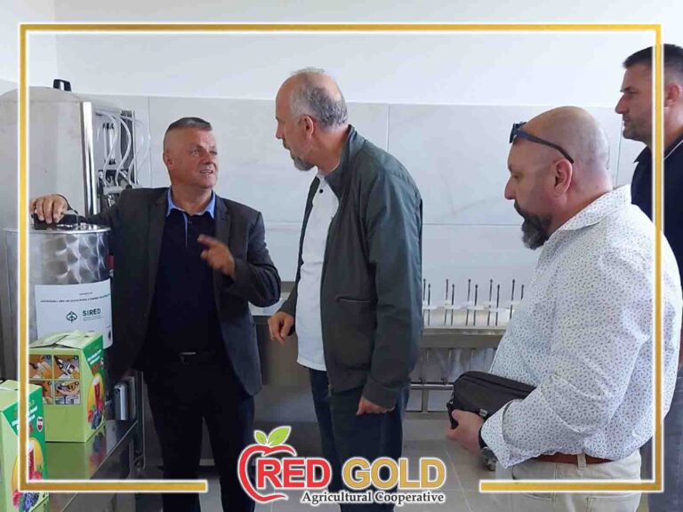 red gold proizvodnja