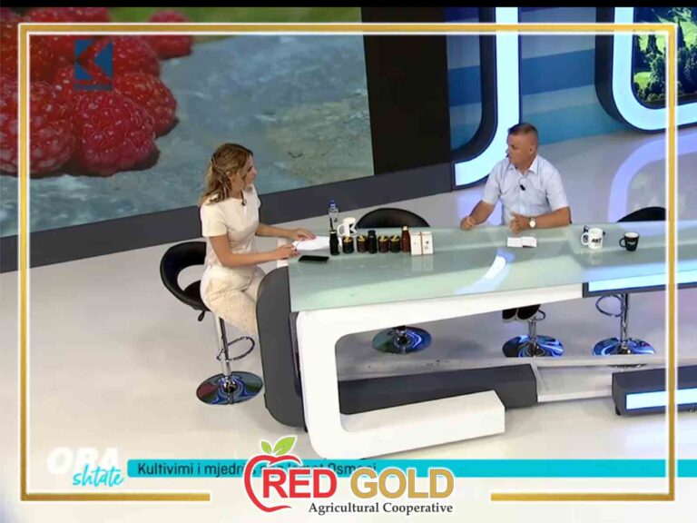 TV Klan Kosova