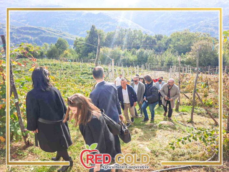 red gold 5