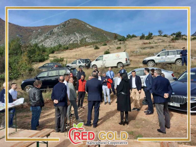 red gold 9