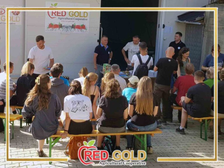 red gold2