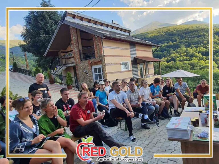 red gold4