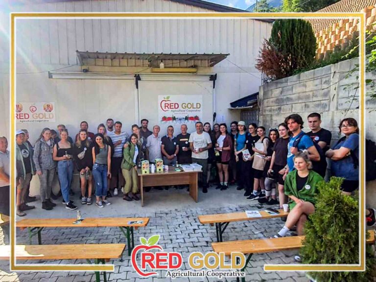 red gold6